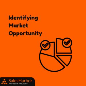 identifying market opportunity SalesHarbor